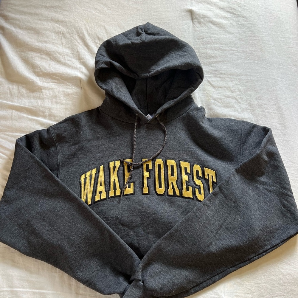 Champion Wake Forest Hoodie